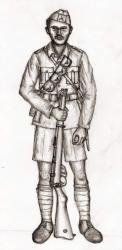 Imperial
