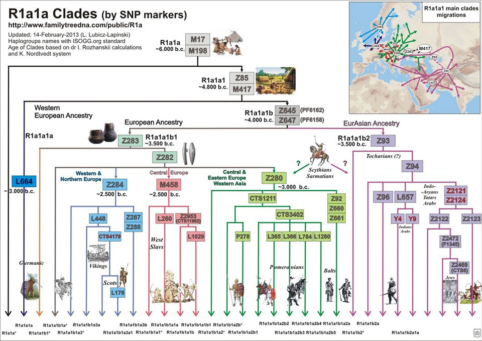 Гаплогруппа r1a схема