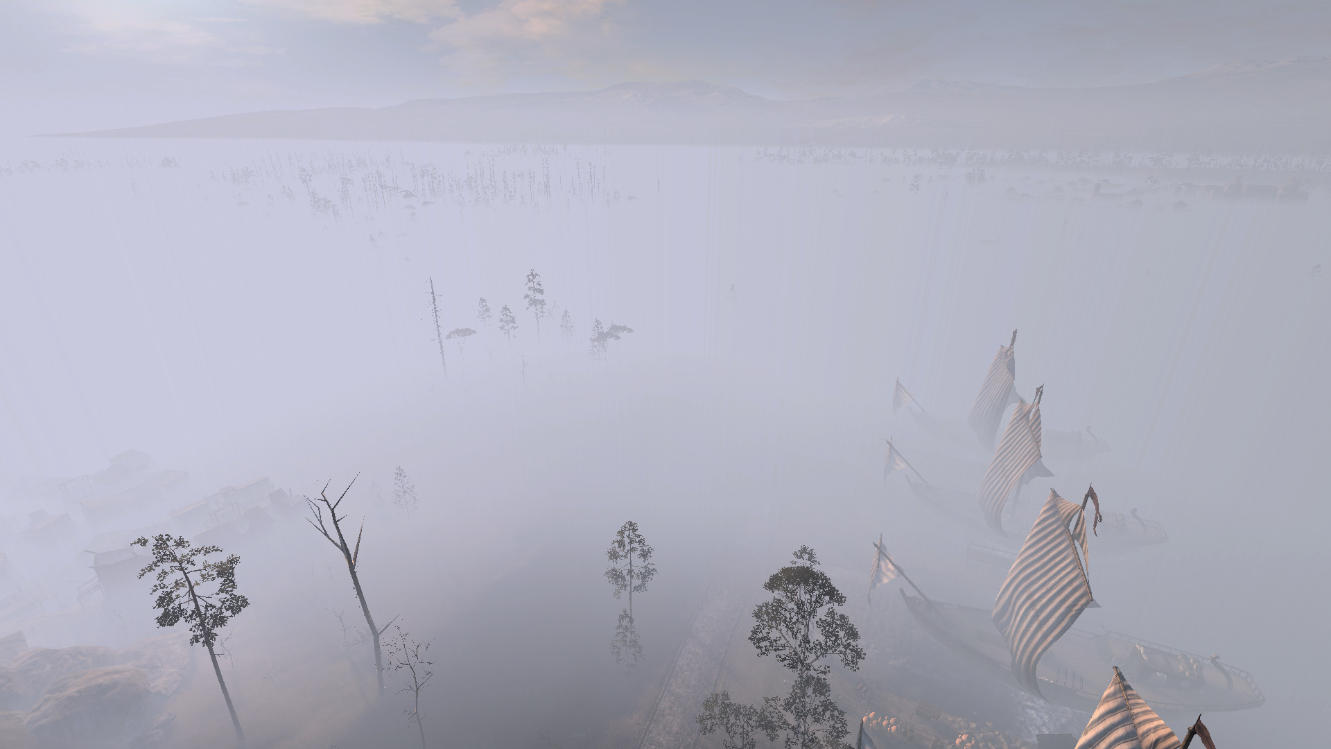 Бамбук в тумане