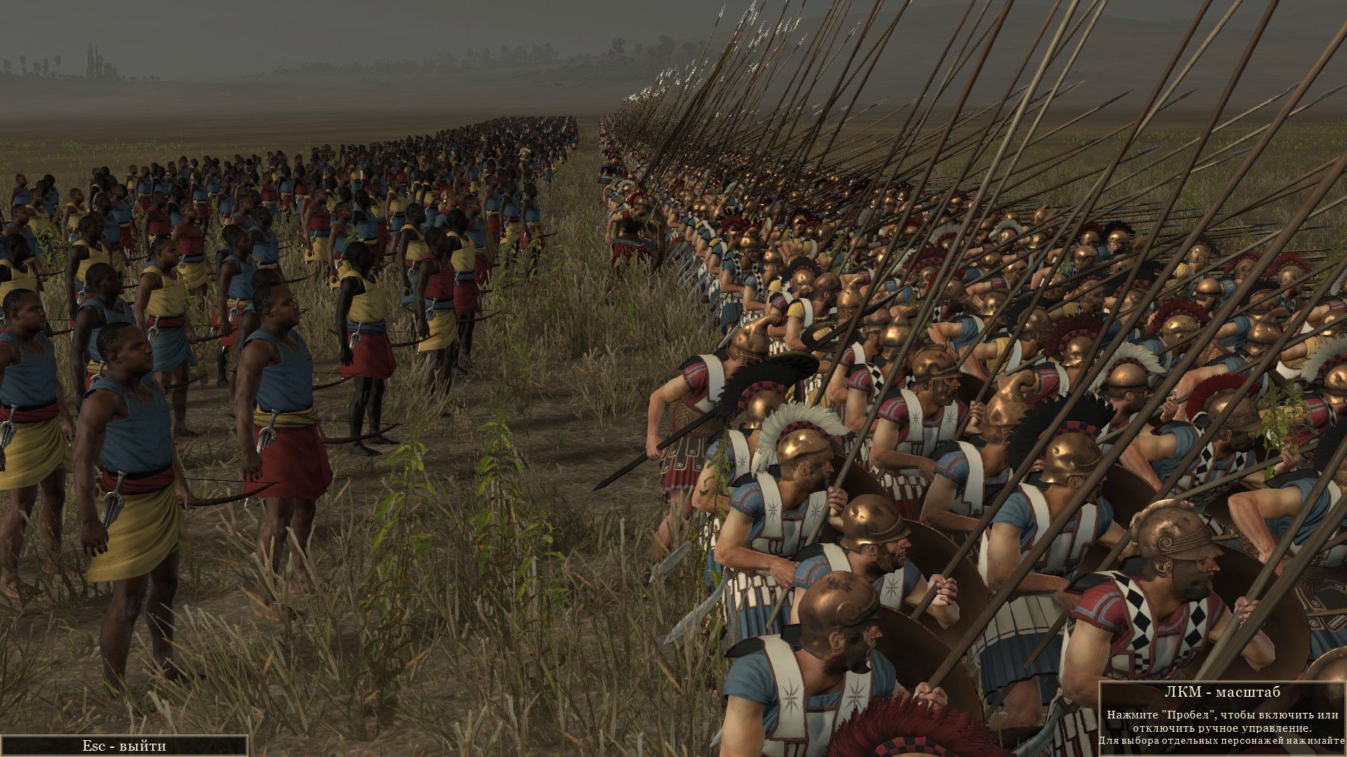 Total war rome 2 steam трейнер для фото 87